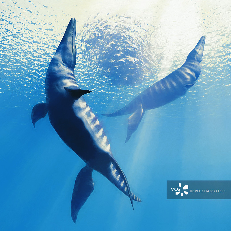 巨头龙史前海洋爬行动物插画图片素材