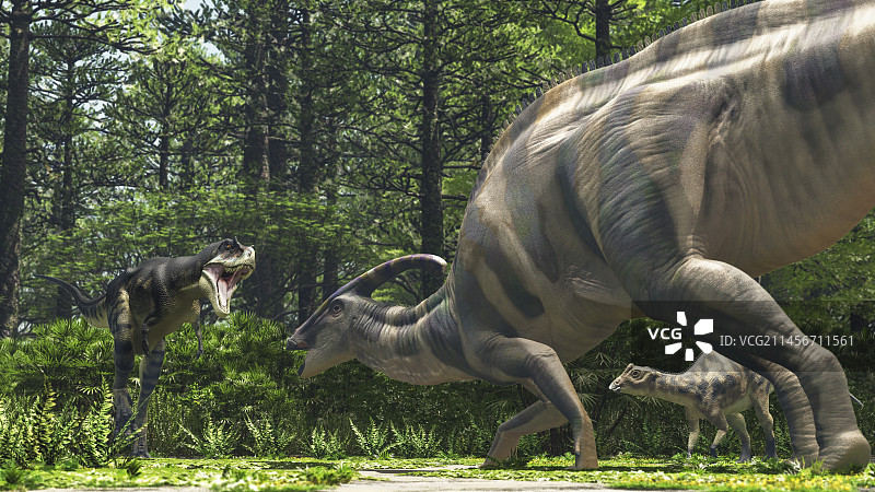 Parasaurolophus 与 Gorgosaurus 恐龙战斗插画图片素材