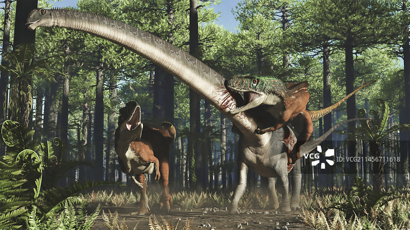 杨川龙攻击马门溪龙插图图片素材