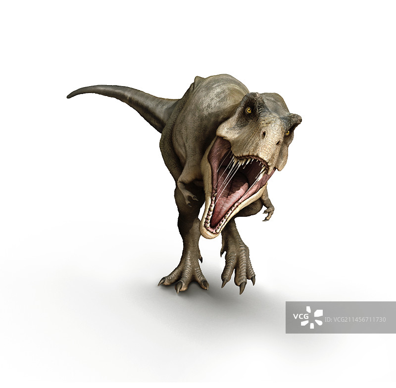 霸王龙恐龙插画图片素材