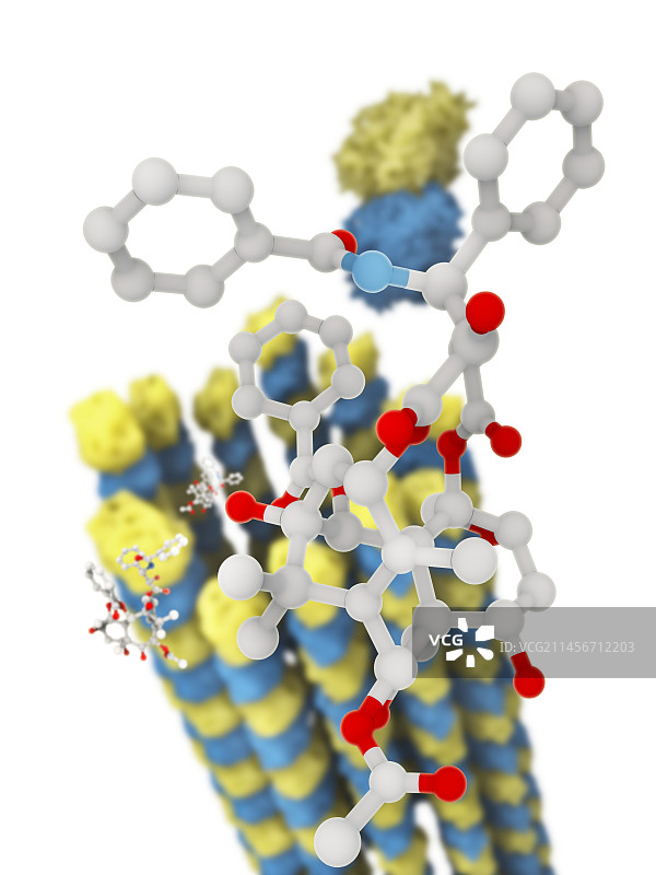 紫杉醇和微管分子结构图图片素材