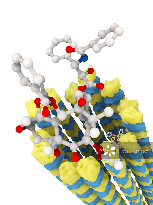 紫杉醇和微管分子结构图图片素材