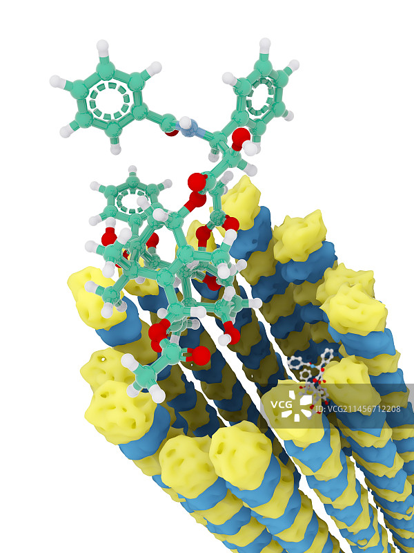 紫杉醇和微管分子结构图图片素材