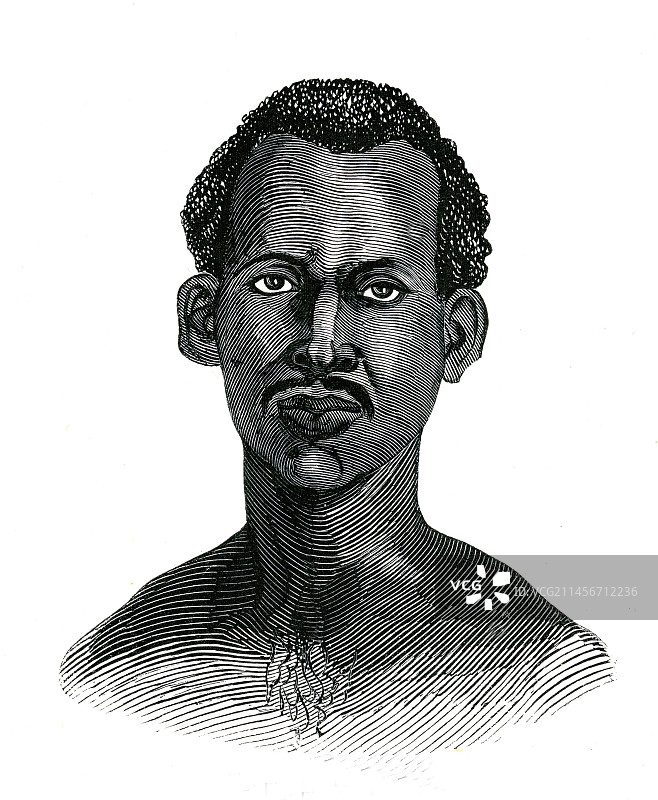 19世纪的茨瓦纳男子插画图片素材