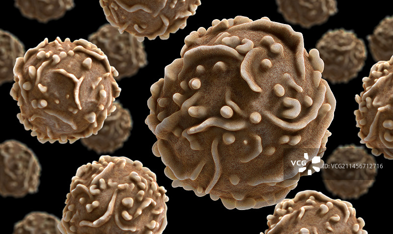 自然杀伤T细胞，图示图片素材