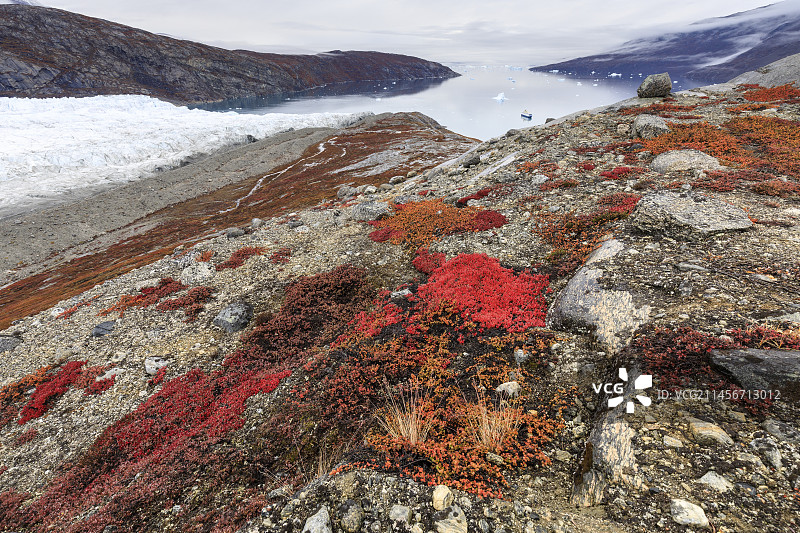 东格陵兰哈尔峡湾的秋色图片素材