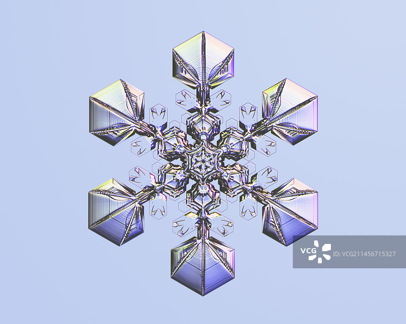 扇形板星雪花显微照片图片素材