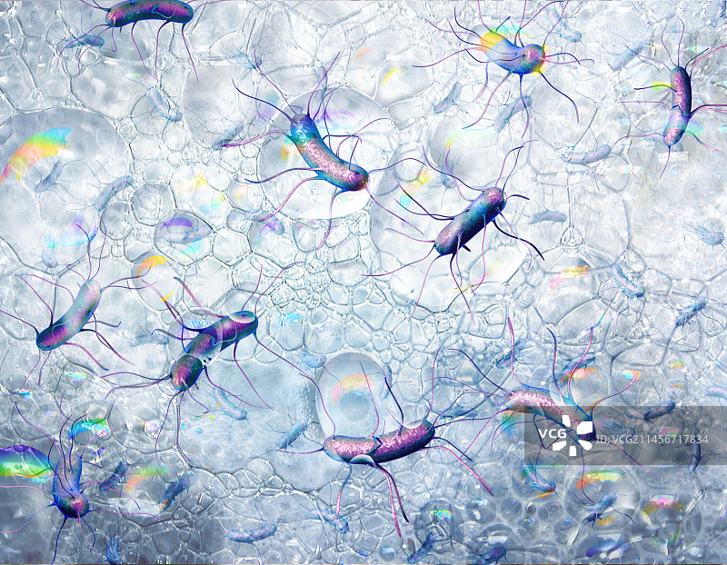 嗜极微生物皂，插图图片素材