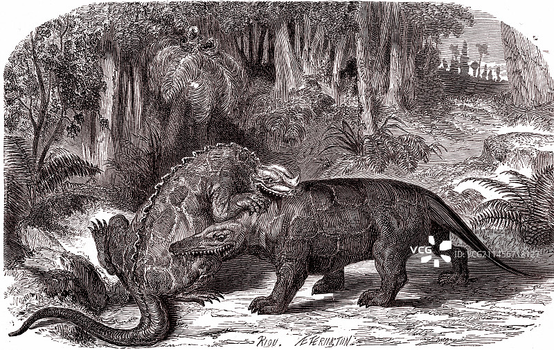 禽龙和斑龙，19世纪插图图片素材