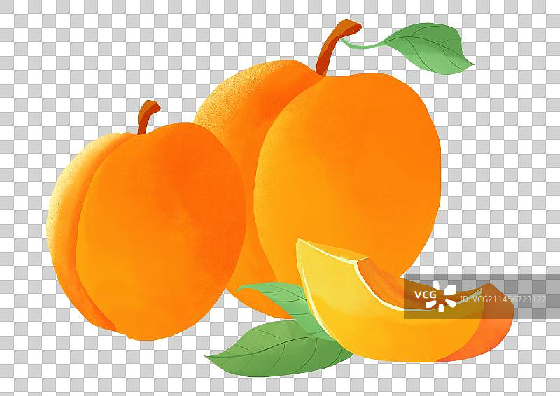 黄桃手绘插画图片素材