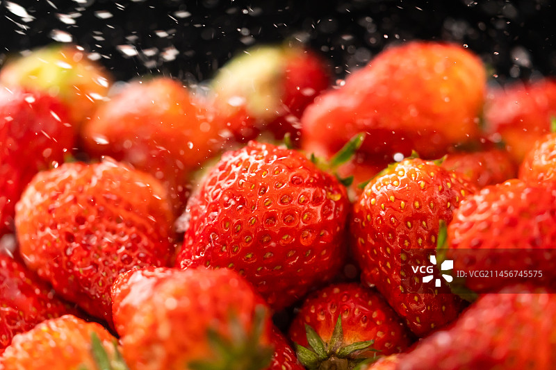 单色背景下的新鲜草莓图片素材