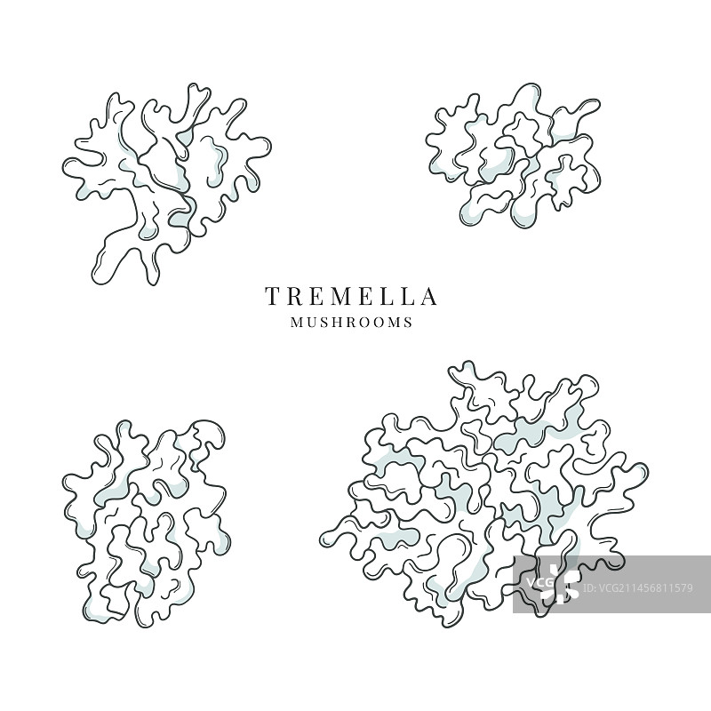 手绘银耳蘑菇合集图片素材
