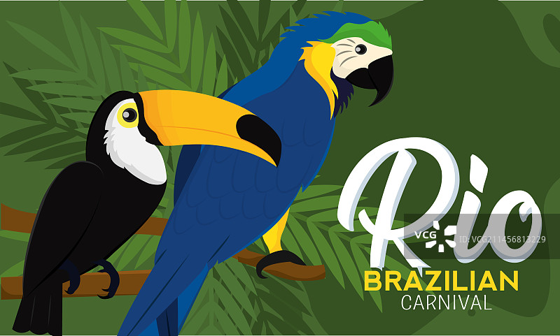 热带巨嘴鸟和鹦鹉里约热内卢狂欢节图片素材