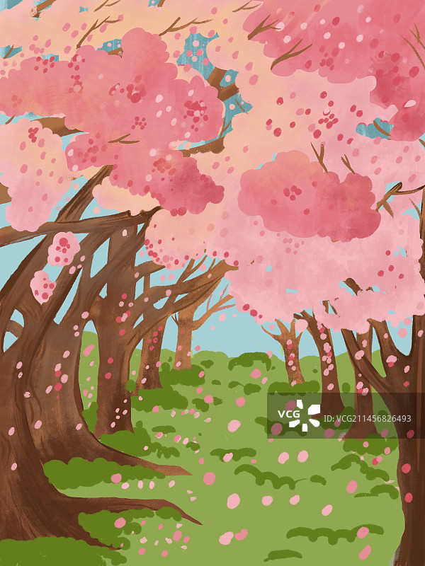 樱花树图片素材