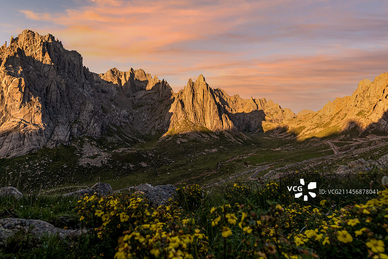 莲宝叶则晨曦图片素材
