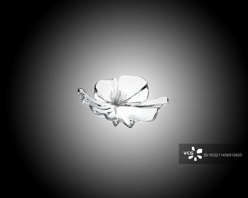 透明玻璃冰块质感花朵图片素材