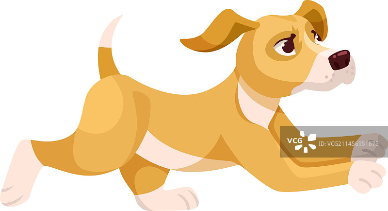 可爱的宠物小狗奔跑图片素材
