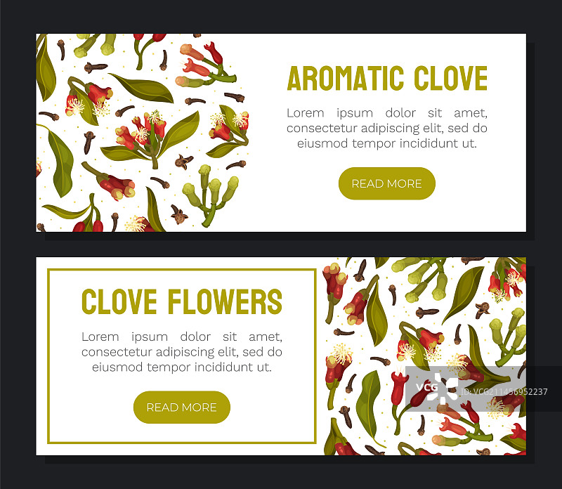 丁香花卉banner设计与盛开的植物图片素材