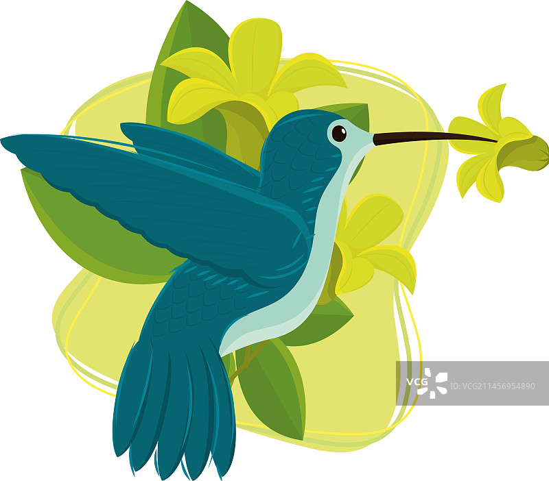 可爱的彩色蜂鸟图片素材