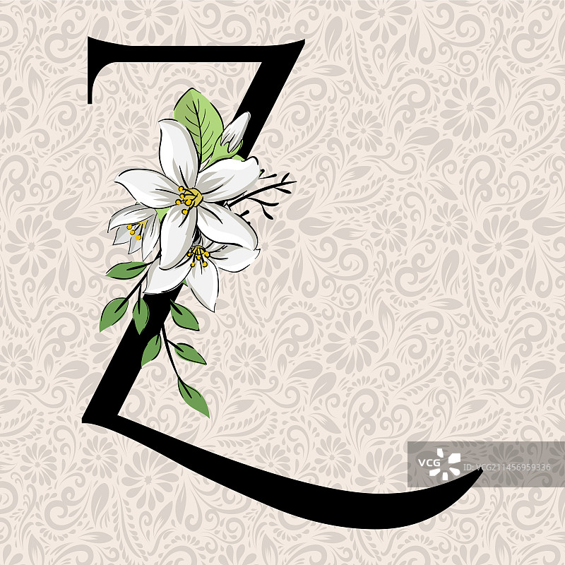字母Z艺术字体图片素材