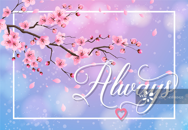 带有樱花的常青字样图片素材