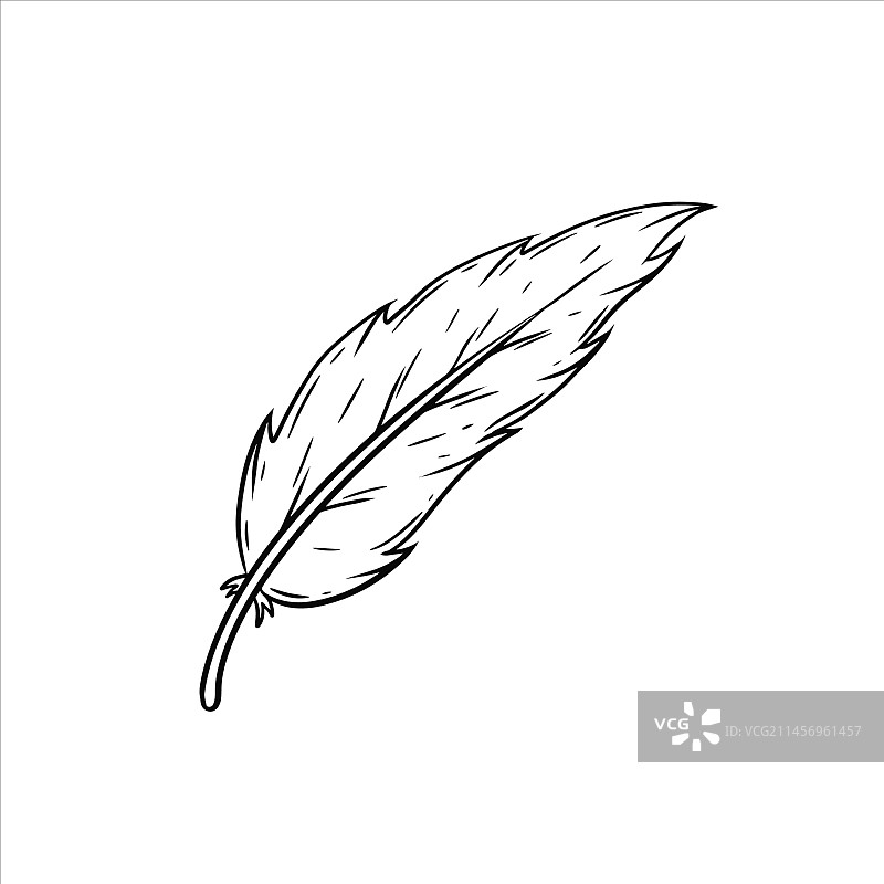 鸟羽装饰元素图片素材