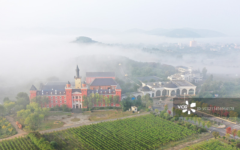 平流雾中的山东枣庄山亭区汉诺葡萄庄园图片素材