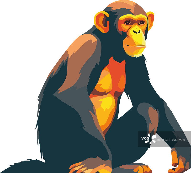 坐在热带雨林中的可爱猴子图片素材