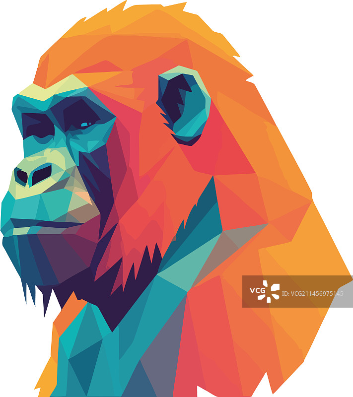 几何风格的猩猩动物图片素材