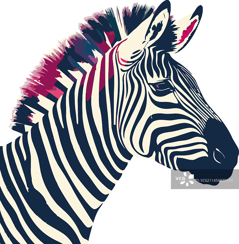 条纹斑马肖像非洲动物图标图片素材