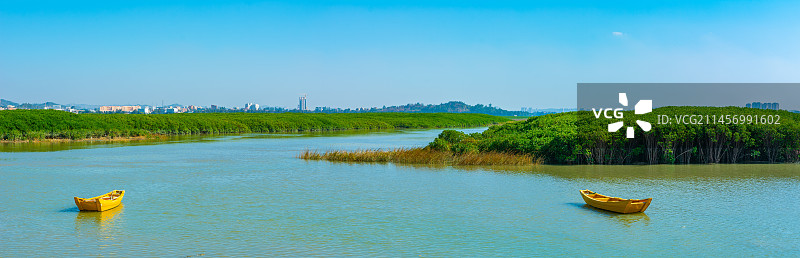 红树林 湿地公园 生态保护区 入海口 泉州湾河口湿地省级自然保护区 福建泉州 泉州风光 泉州湾红树林图片素材