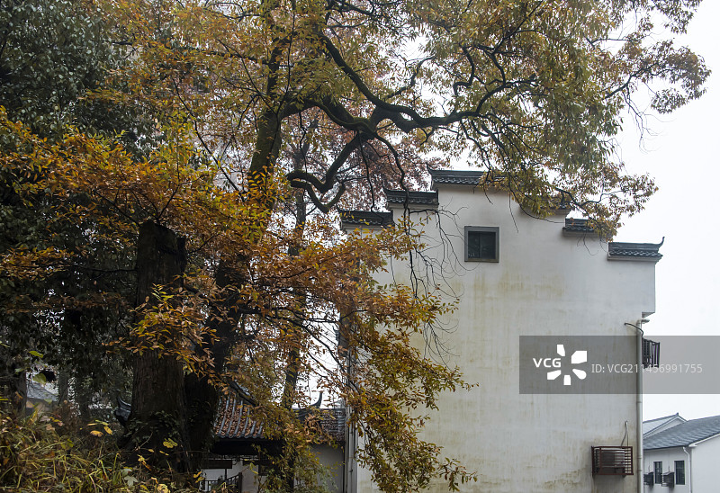 浙江省杭州市临安区指南村风光图片素材