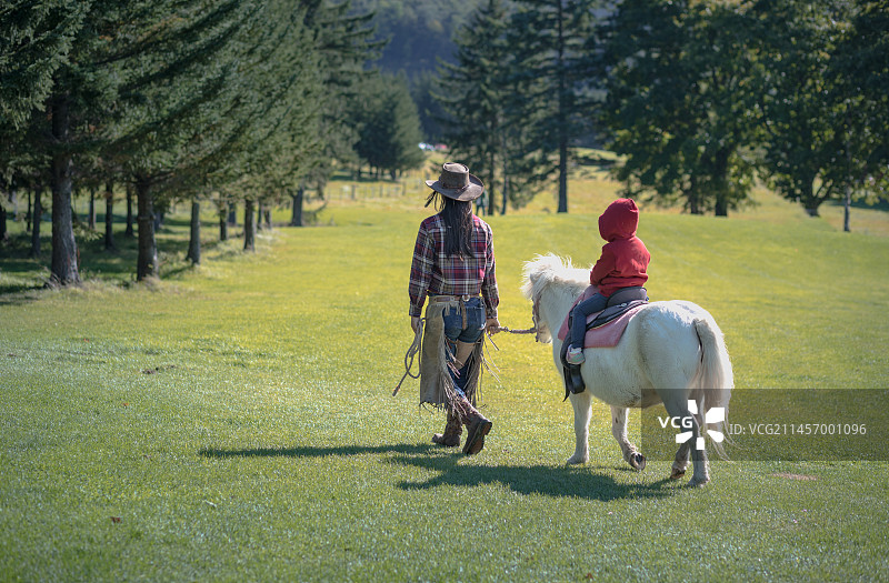 草地上的白马图片素材
