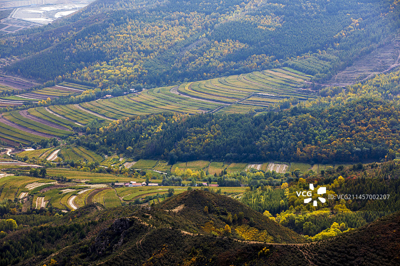 秋日山间的梯田图片素材