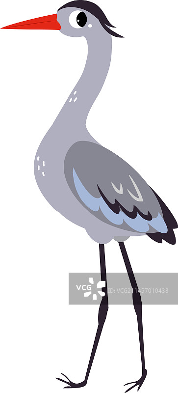 长腿长喙的苍鹭图片素材