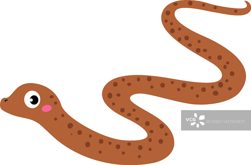 快乐的棕色蛇图片素材