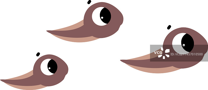 游泳的大眼睛可爱蝌蚪角色图片素材