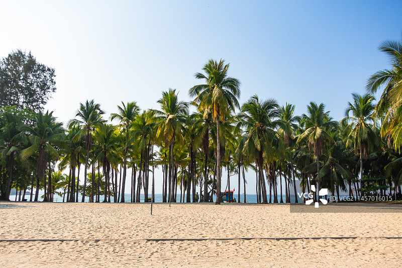 海南省三亚市小东海椰树风光图片素材