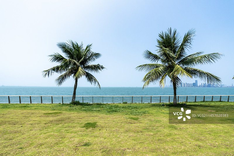 中国海南省海口市滨海大道海边绿道风光带图片素材