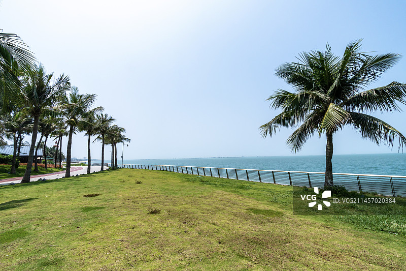 中国海南省海口市滨海大道海边绿道风光带图片素材