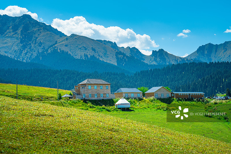 秋季 秋分 江布拉克 新疆麦田  丰收 麦海 金色图片素材