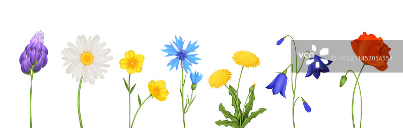 逼真的春季花卉套装图片素材