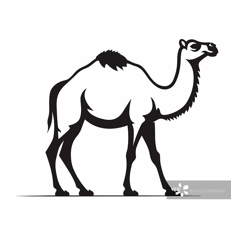 白色背景上的骆驼黑色图标图片素材