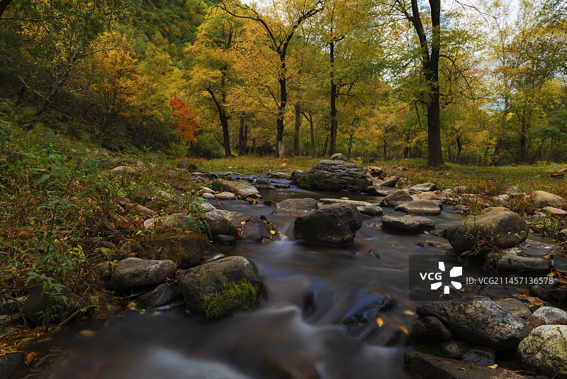 峡谷溪流又逢秋图片素材