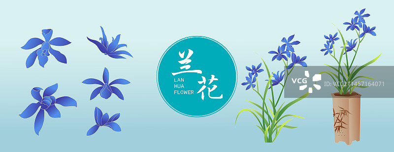 国风兰花植物矢量插画图片素材