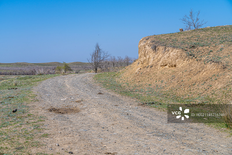 新疆 初春 干旱地带 车辙 自然风光 羊群图片素材
