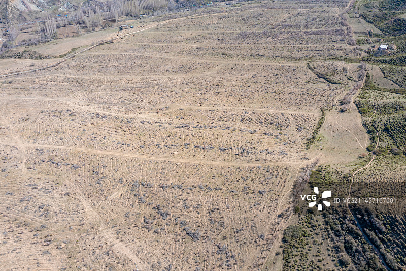 新疆 初春 干旱地带 车辙 自然风光 羊群图片素材