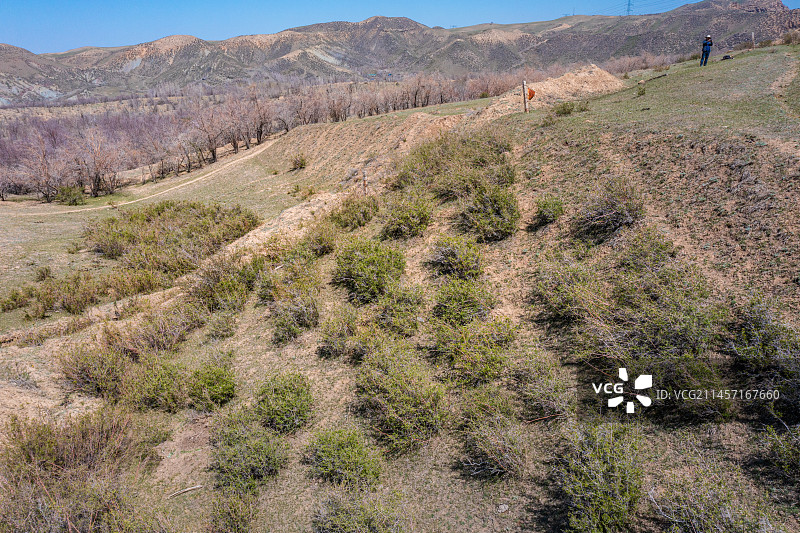 新疆 初春 干旱地带 车辙 自然风光 羊群图片素材