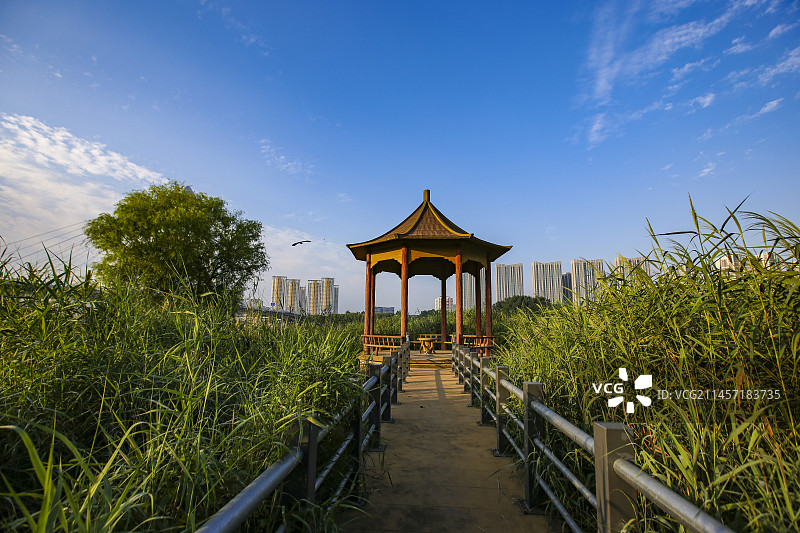 城市草原图片素材