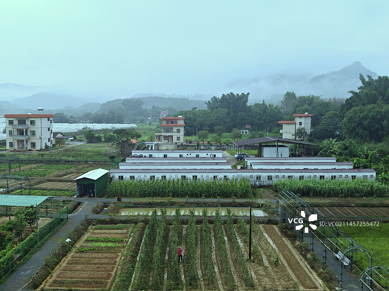 烟雨雅色图片素材